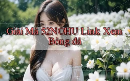 giải mã 52nohu link xem bóng đá
