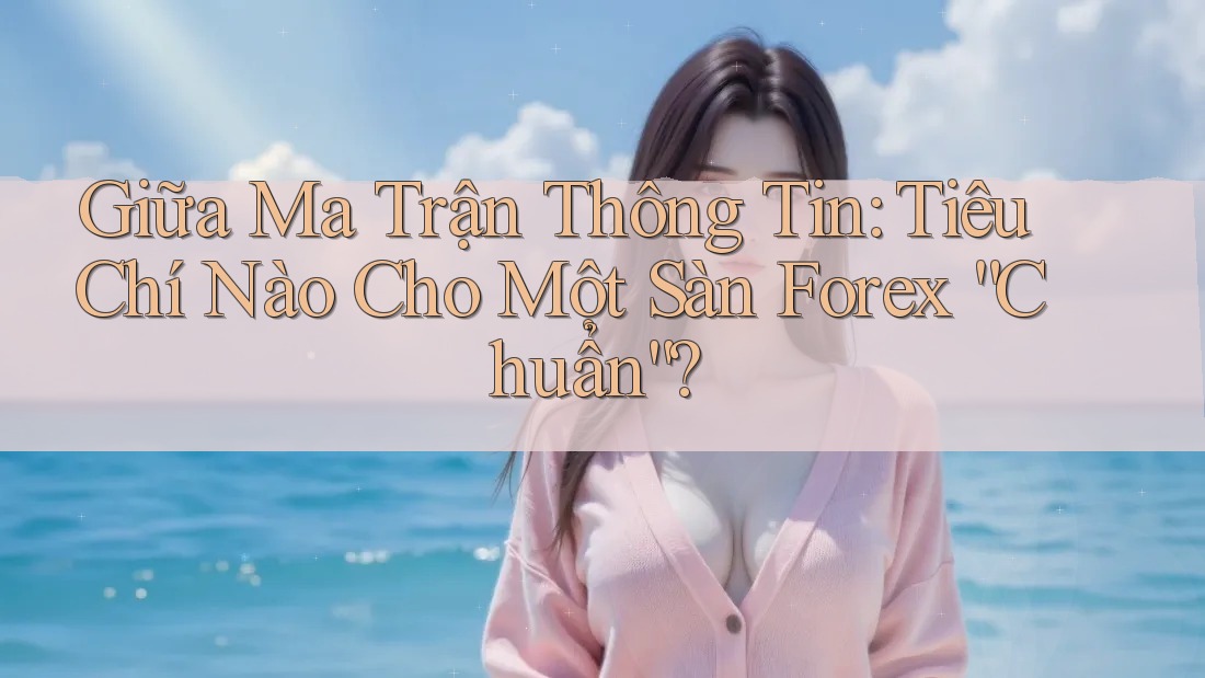 Giữa Ma Trận Thông Tin: Tiêu Chí Nào Cho Một Sàn Forex “Chuẩn”? Giữa Ma Trận Thông Tin: Tiêu Chí Nào Cho Một Sàn Forex “Chuẩn”?