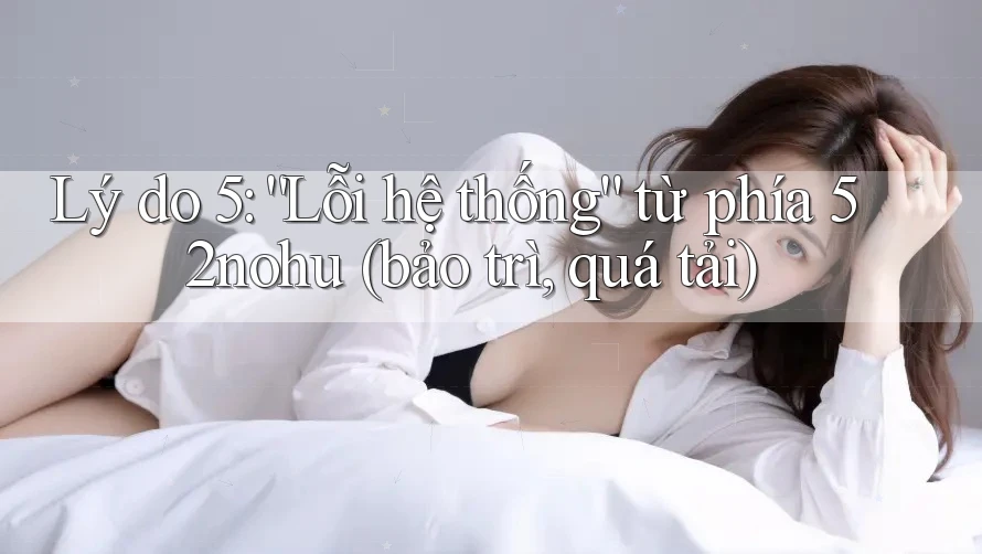 Lý do 5: “Lỗi hệ thống” từ phía 52nohu (bảo trì, quá tải)